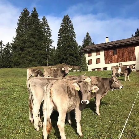 Dağ evi Acla Pala Lenzerheide